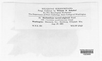 Image Associated With the Occurence